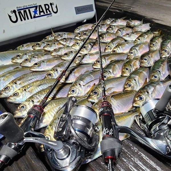 ウェーブテール２